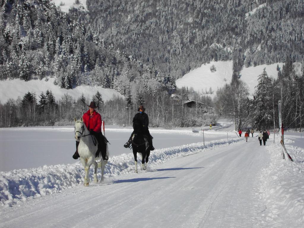 Bergheim Komfort Ferienwohnungen Walchsee Bagian luar foto