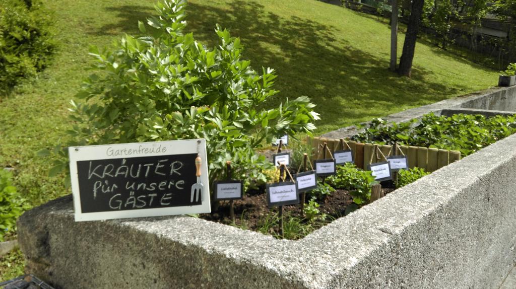 Bergheim Komfort Ferienwohnungen Walchsee Bagian luar foto