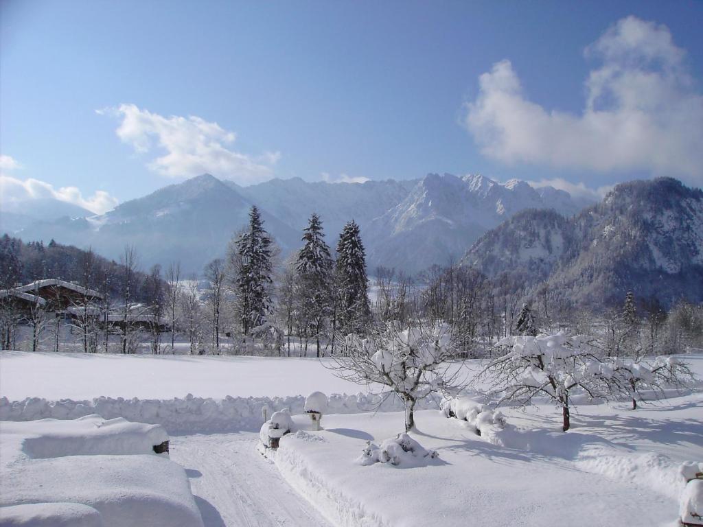 Bergheim Komfort Ferienwohnungen Walchsee Bagian luar foto